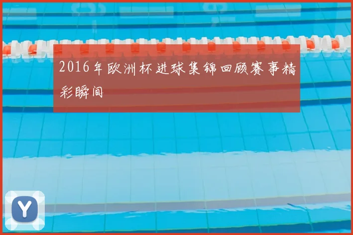 2016年欧洲杯进球集锦回顾赛事精彩瞬间