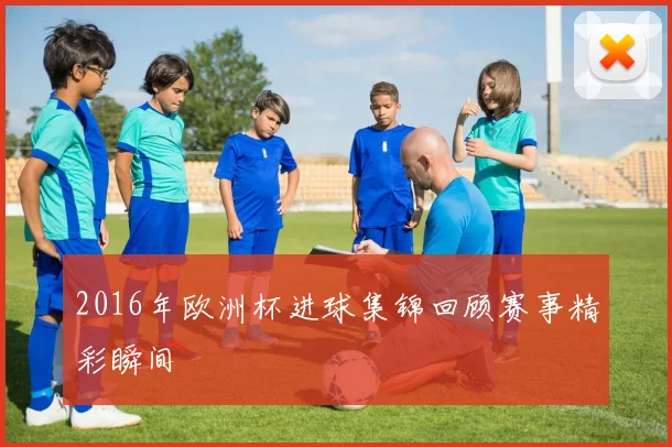 2016年欧洲杯进球集锦回顾赛事精彩瞬间