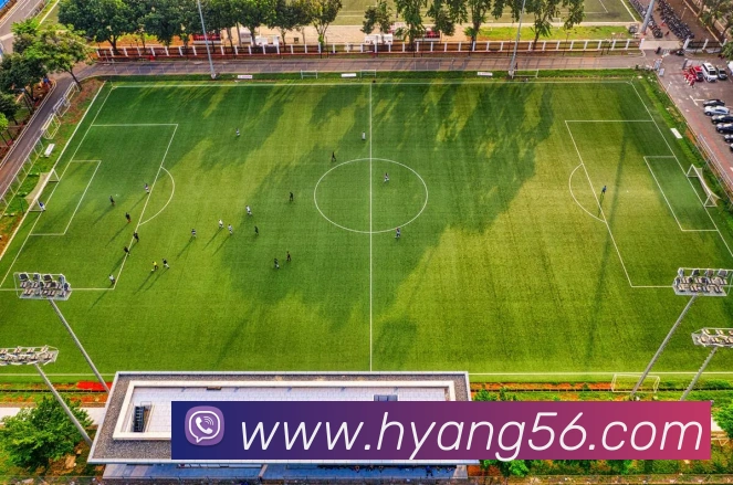 数据防护可视化